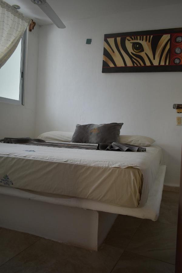 Tropical Suite ลอสอายาลา ภายนอก รูปภาพ